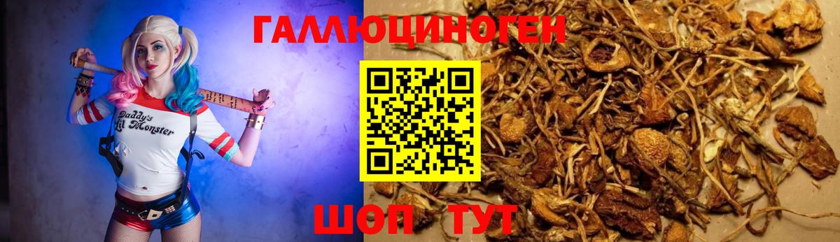 Псилоцибиновые грибы мицелий Красногорск